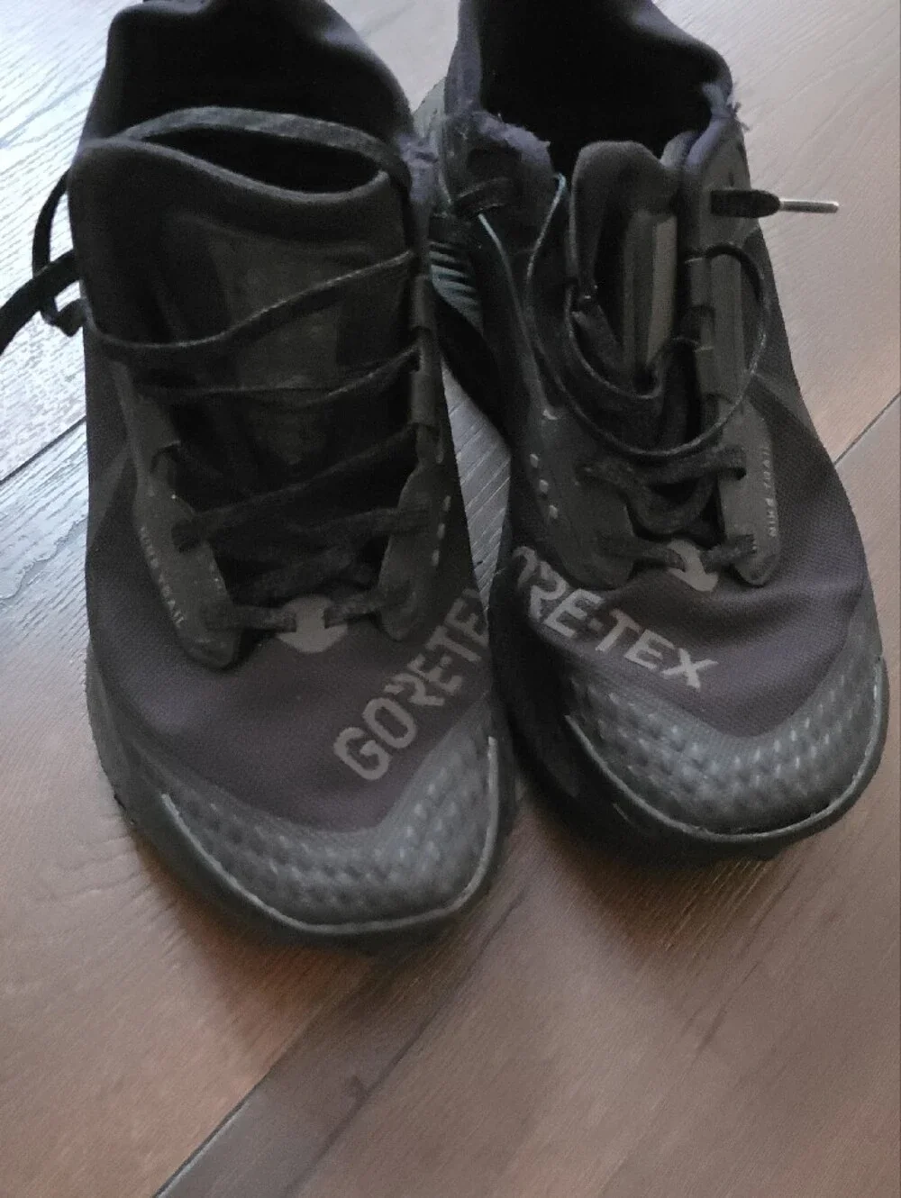 Nike Pegasus Trail 3 GORE-TEX running shoes